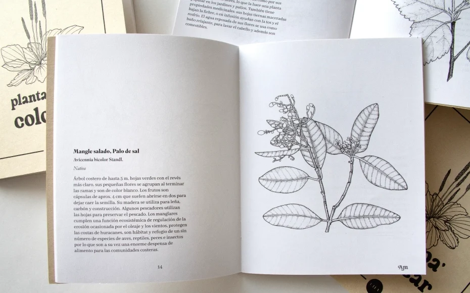 Plantas para colorear_04