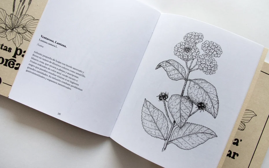 Plantas para colorear_05
