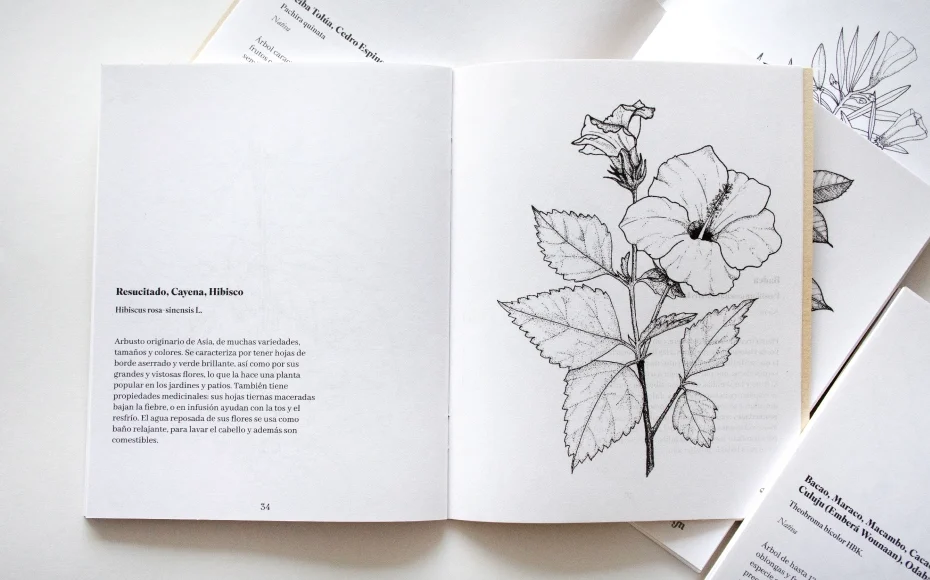 Plantas para colorear_07