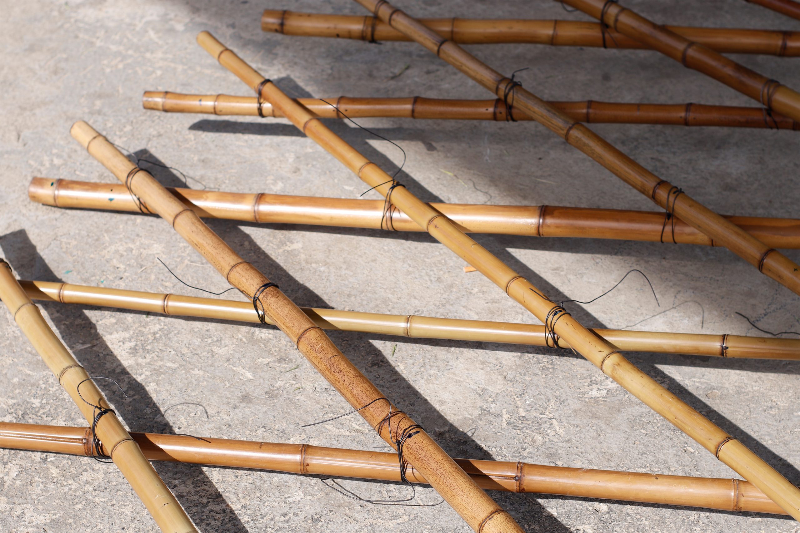 20220818062118__MG_2950FESVI_2022