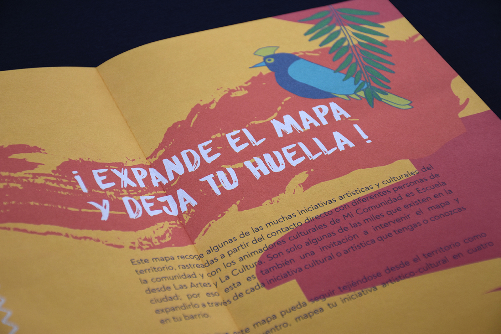 Huellas de mi barrio 6