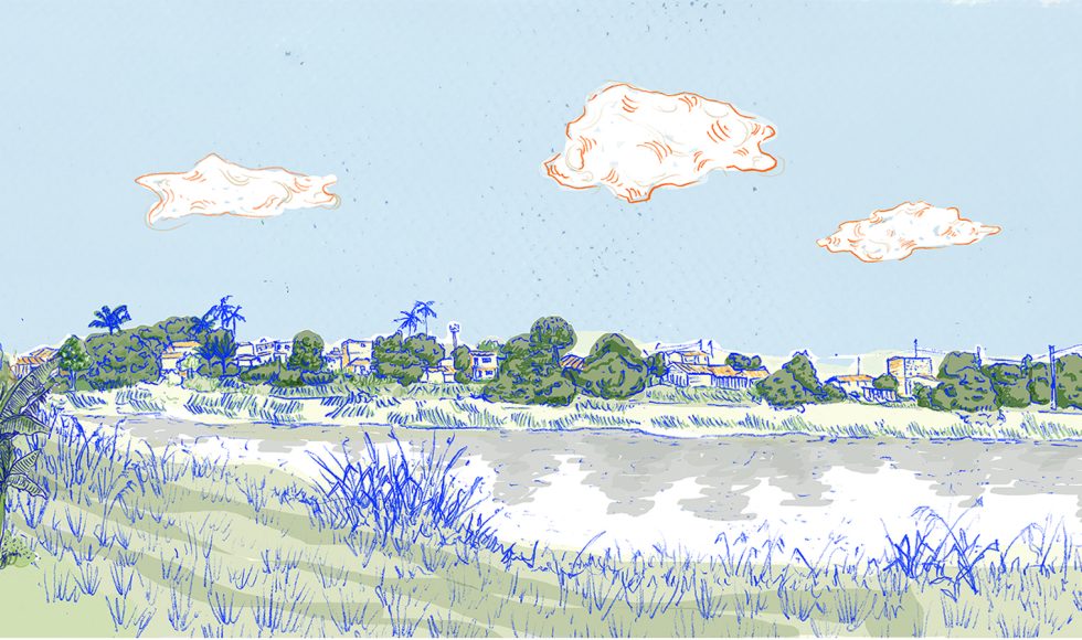 Festivales de cine y video comunitario 8