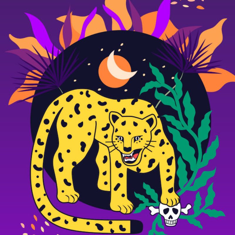 Galeria__Portafolio copia 2