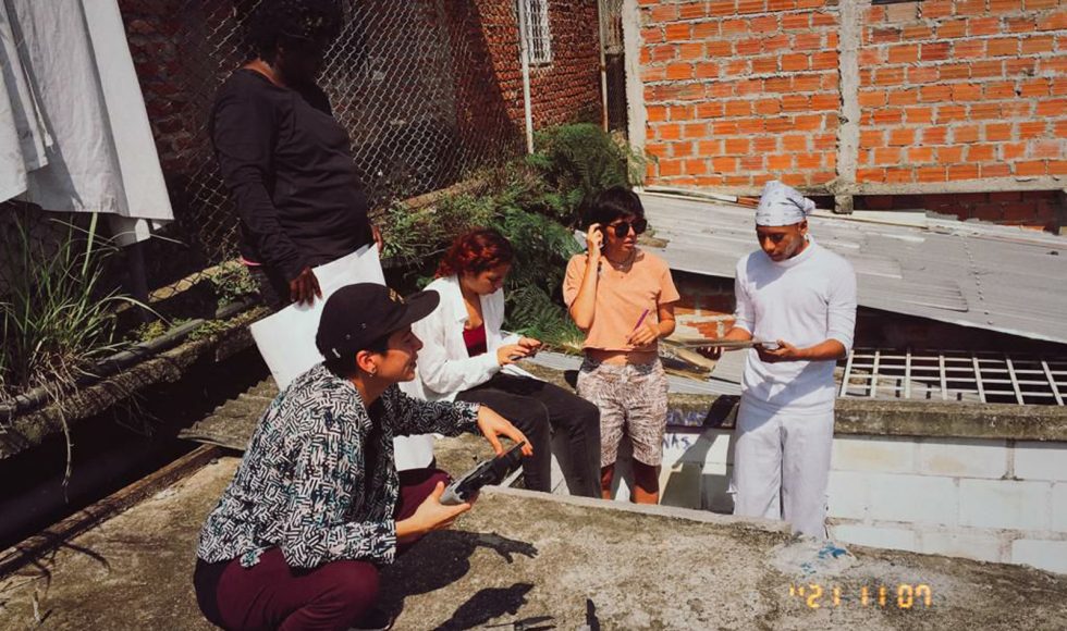 Girasoles Valientes 4