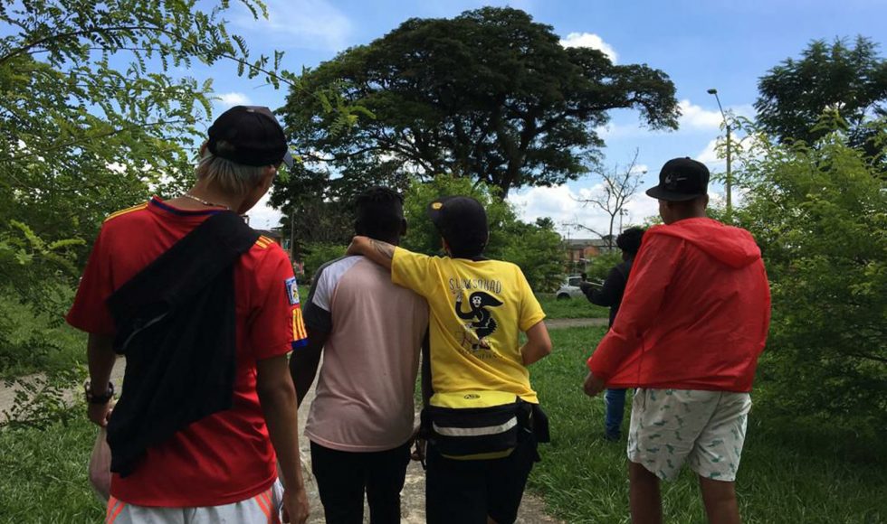 Girasoles Valientes 5