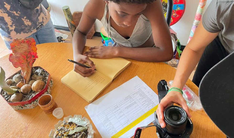 Girasoles Valientes 7