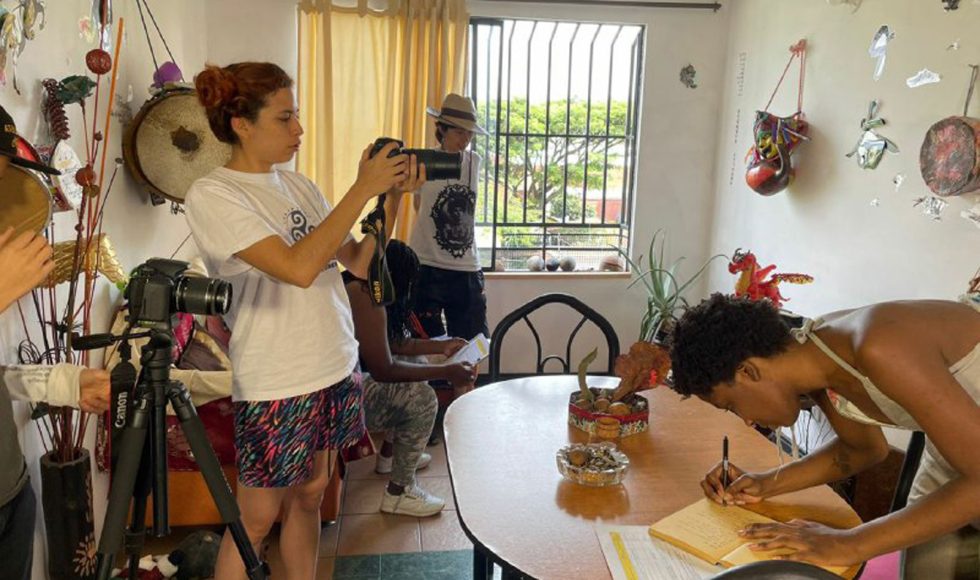 Girasoles Valientes 8