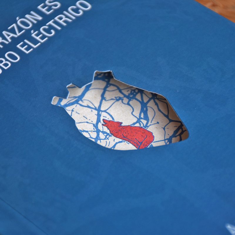 Jaime arcos izquierdo 2