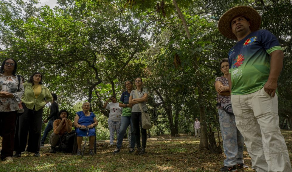 LAB. CALIMA BARRIO ADENTRO 202411