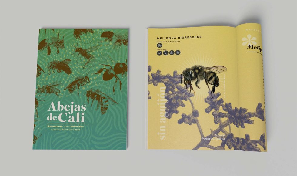 Libro abejas