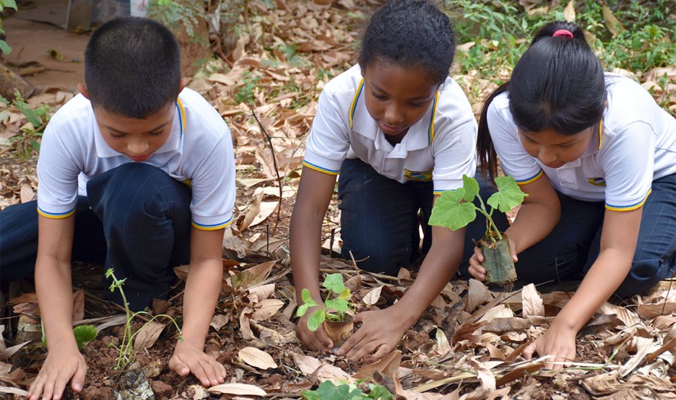 Mi escuelita reverdece 10