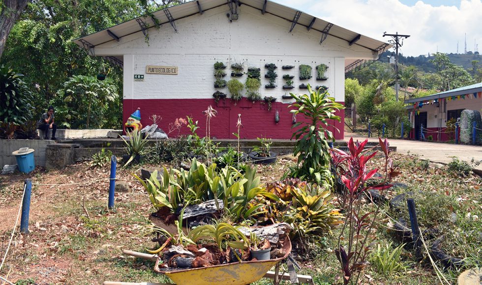 Mi escuelita reverdece 2 (2)