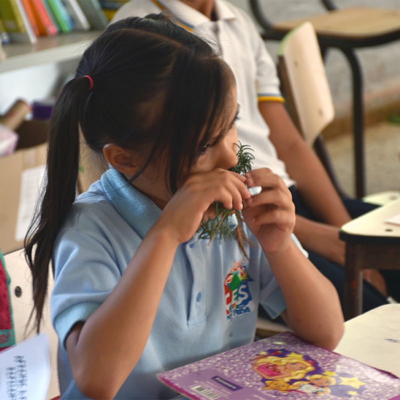 Mi escuelita reverdece 3 (2)