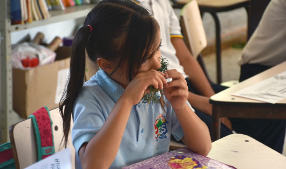 Mi escuelita reverdece 3 (2)