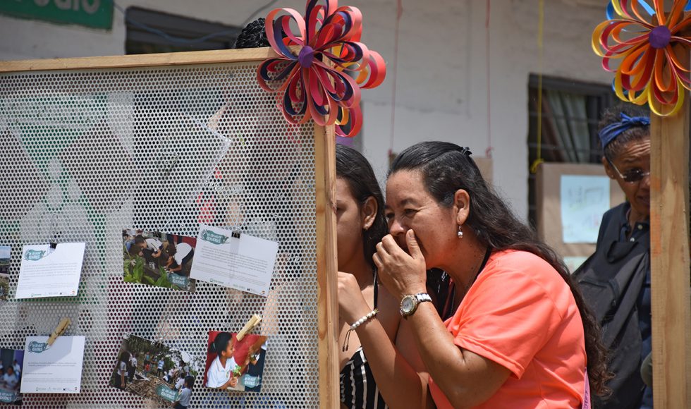 Mi escuelita reverdece 3