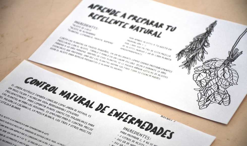 Mi escuelita reverdece 4 (2)