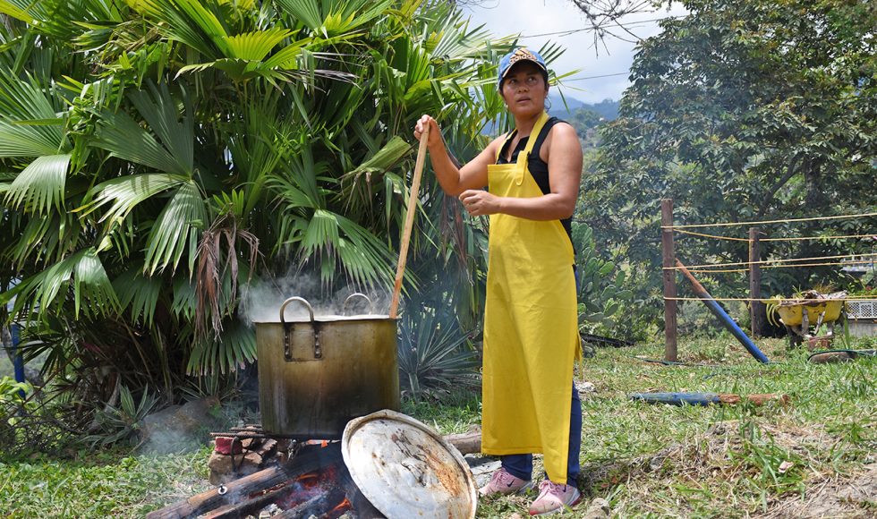 Mi escuelita reverdece 4
