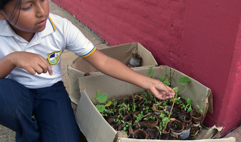 Mi escuelita reverdece 5 (2)