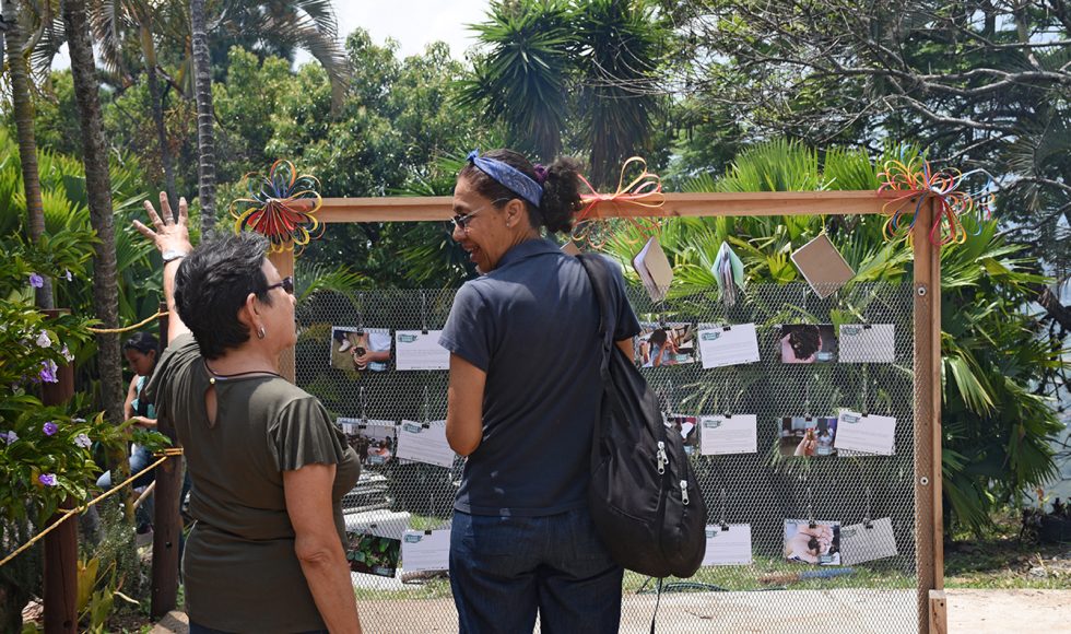 Mi escuelita reverdece 5