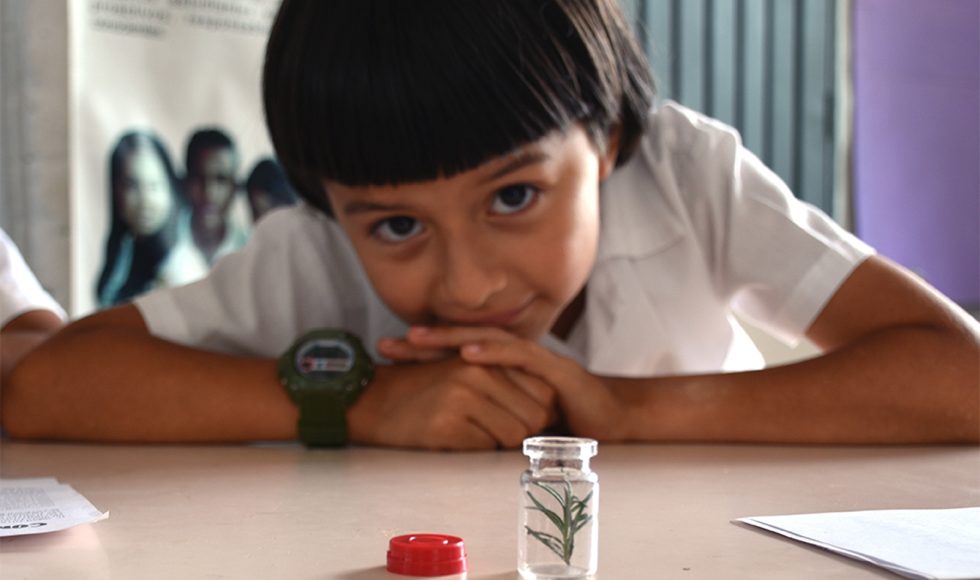 Mi escuelita reverdece 6 (2)