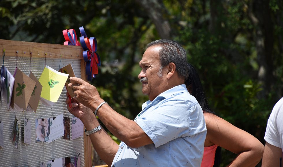 Mi escuelita reverdece 6