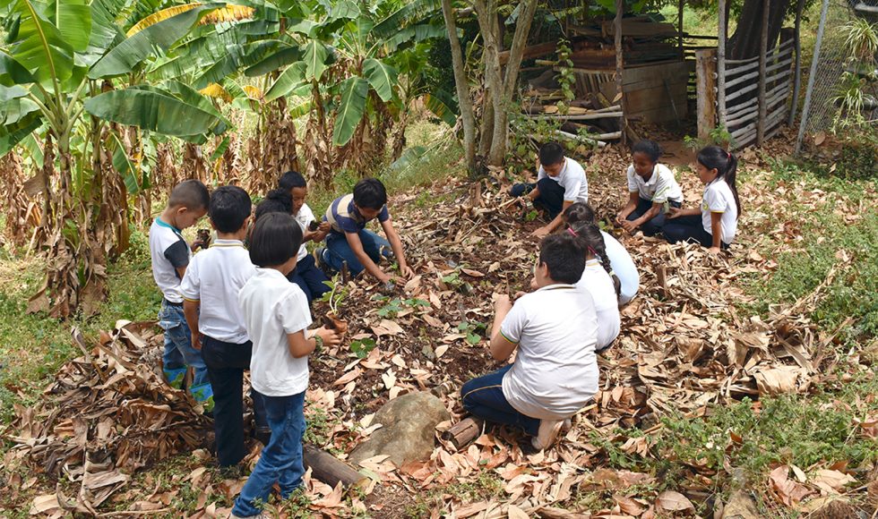 Mi escuelita reverdece 9