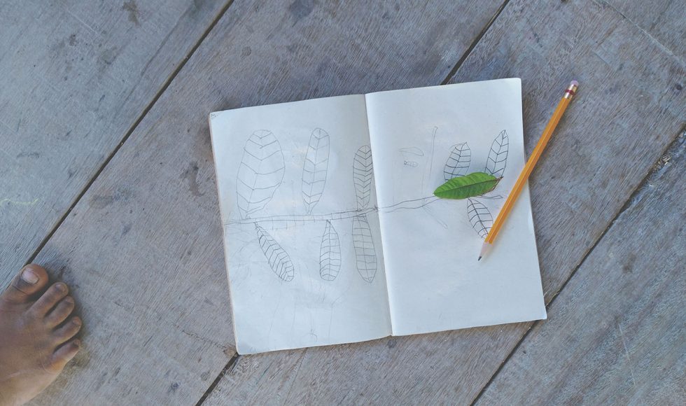 Niñas y niños dibujando plantas 1