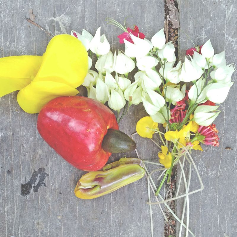 Niñas y niños dibujando plantas 11