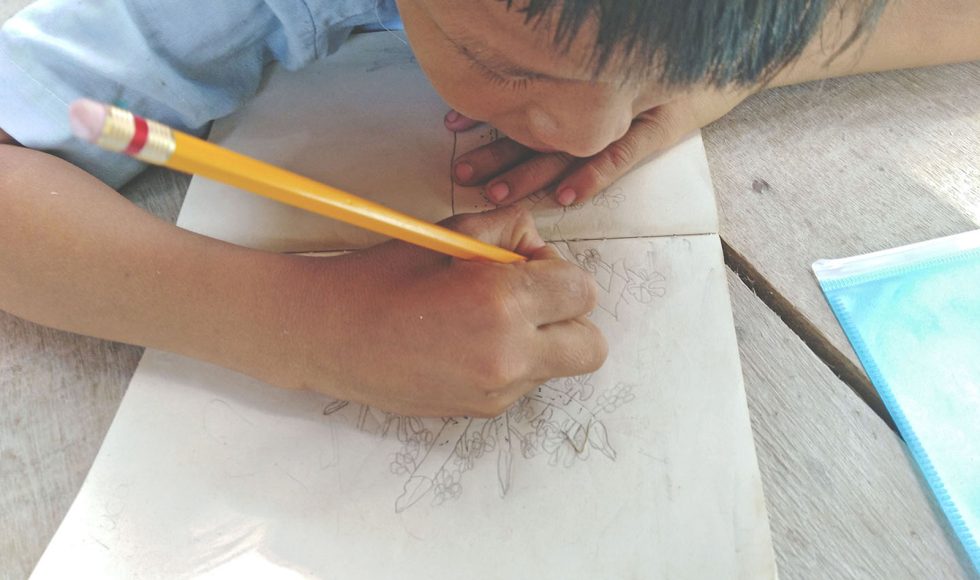 Niñas y niños dibujando plantas 12