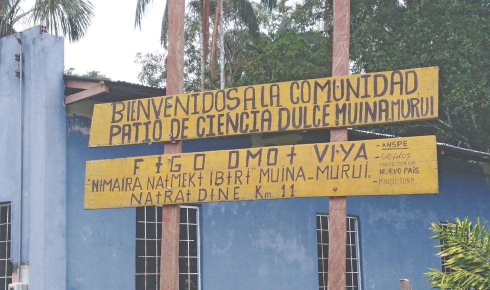 Niñas y niños dibujando plantas 2