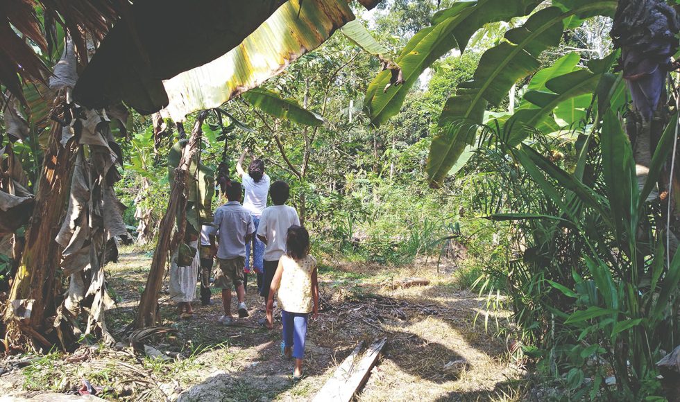 Niñas y niños dibujando plantas 3