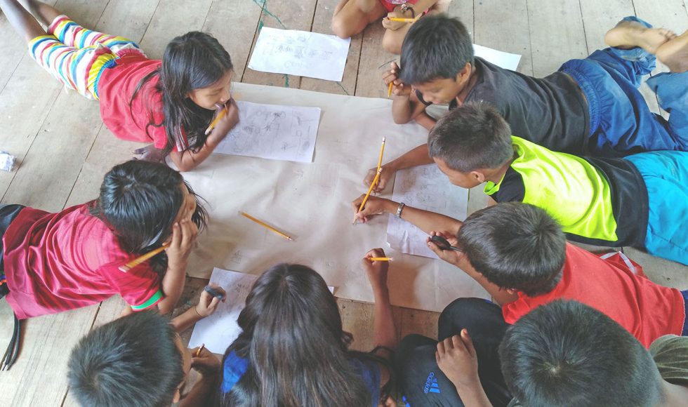 Niñas y niños dibujando plantas 4
