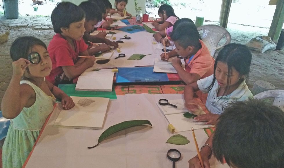 Niñas y niños dibujando plantas 5