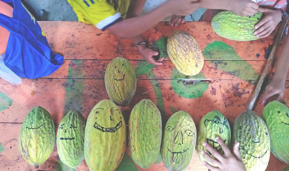 Niñas y niños dibujando plantas 6
