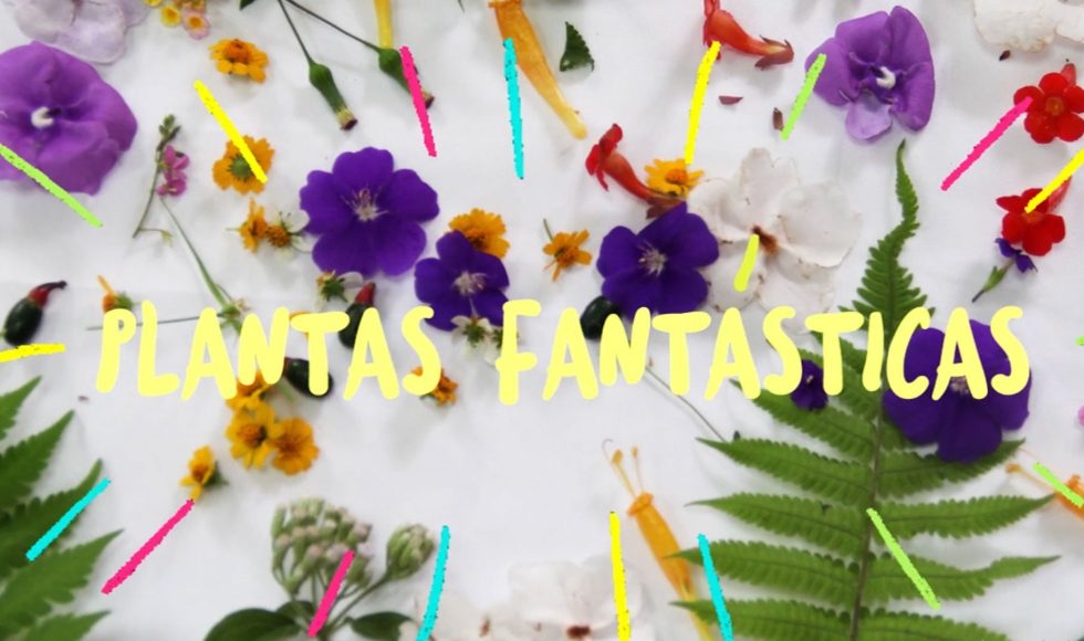 Plantas Fantásticas (2)
