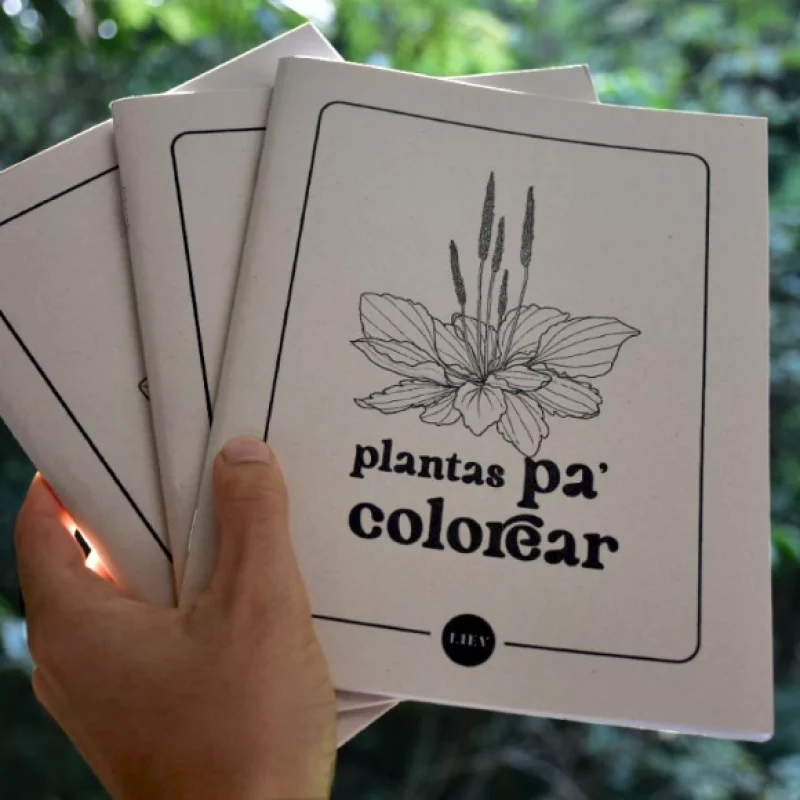 Plantas para colorear_01