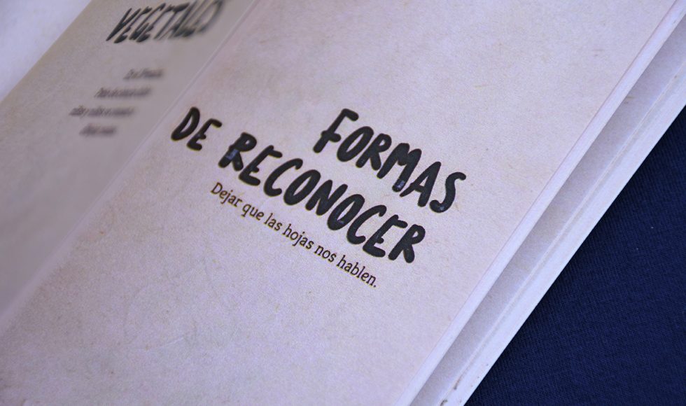 Retratos vegetrales 6