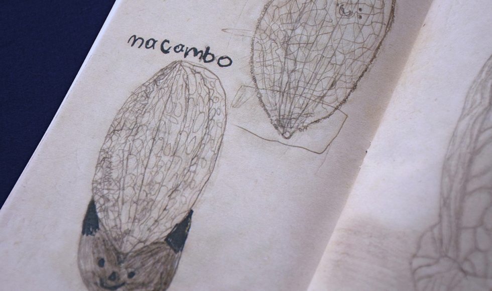 Retratos vegetrales 7