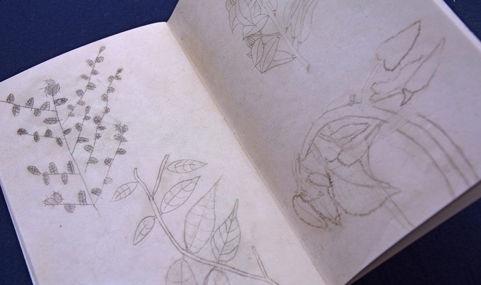 Retratos vegetrales 8